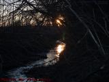 Sunset Reflection On Overgrown Ditch, Groveland, NY