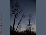 Crescent Moon Over Winter Trees, Groveland, New York