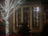 Retail Shop Reflecting Decorative Newbury Street Lighting