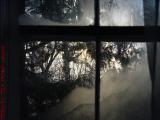 A Good Day To Be Indoors, Cold View, Groveland, New York