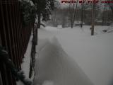 Too Much Snow!  Dell Court, Filled to Overflowing, Lynn