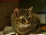 Penny Concentrating, Dell Court, Lynn, Massachusetts