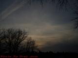 Trees Silhouetted on Winter Sunset Sky, Peabody, Mass.