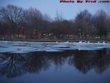 Reflective Perspective of a Placid Charles River, Allston