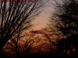 Dog Cloud in the Sunset, Framingham, Massachusetts