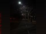 Bicycle Path in Available Light, Esplandade Near B.U.