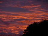 Sunset Lit Cloud Bottoms, Natick, Massachusetts