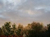 Sunset Lit Tree Tops, Dell Court, Lynn, Massachusetts