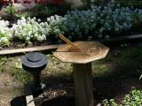 Sundial and Lamp, Bob's Garden, Dorchester, Mass.