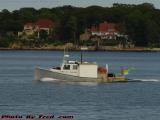 Seafood Harvest Coming In From The Deep, Gloucester, Mass.