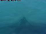 Water Spirit Off Gloucester - The Sun At My Back