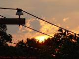 Sunset's Fire, Boston Avenue, Medford, Massachusetts