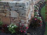 September Flowers and Rock Wall, Lowell Street, Peabody