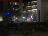 Land of the Misfit Lights, Harvard Medical School, Boston