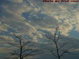 Bare Trees and Clouds, Foreshadowing Colder Weather