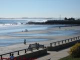 Wind Swept Fall Surf on Nahant Bay, from Swampscott