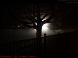 Foggy December Night, Tufts Athletic Fields, Medford