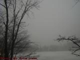 Foggy Winter Perspective, Devil's Dishfull Pond, Peabody