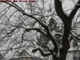 Oh No! April Snow! Five Inches Deep on Brookings Street