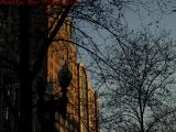 A Threat of Spring, Late Afternoon Sun, Boylston Street