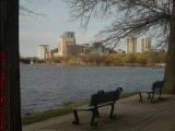 Esplanade Benches Waiting in Chilly Spring Weather