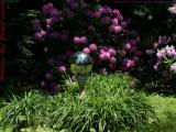 Reflecting Ball With Sun, Draper Street, Dorchester