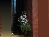 Summer Flower Presentation, Fairfield Street, Boston
