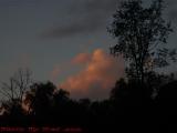 Sunset Clouds With Silhouetted Trees, Groveland, New York