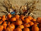 Signs of Season Changed, Everett, Massachusetts