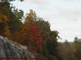 Bright Foliage in a Moment's Shadow, Derry, New Hampshire