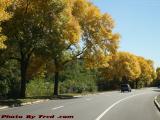 Autumn Afternoon Perspective, Mystic Valley Parkway