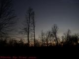 Winter Tree Silhouettes on Gloaming Sky, Groveland, NY