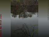 Charles River Spring Reflections Under Cloudy Sky, Newton
