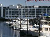 Marina Perspective at Victoria Station, Pickering Wharf