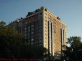 Proud Face in Setting Sun's Light, Public Garden View