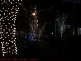 A Study of Lights, Newbury Street, Boston, Massachusetts