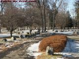 Island Park in Winter Clothes, Wellsville, New York
