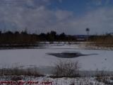 Low Water in the Hill Reservoir, Groveland, New York