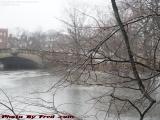 Rain Beads on Early Spring Branches, Mystic River, Medford