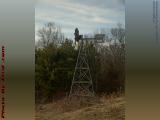 Windmill Study, Groveland, New York