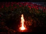 Fountain Lighted As If By Fire, Las Vegas, Nevada