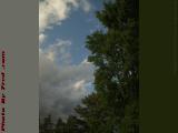 Mostly Cloudy Sky With Bird, Wellsville, New York
