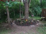 Fairy Garden, Groveland, New York