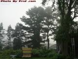 Back Yard Morning Fog, Wellsville, New York