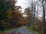 Fall Foliage on a Cloudy Evening, Fords Brook Rd., Willing