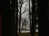 Island Park Perspective Under Heavy Skies, Wellsville, NY