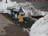 Clear Your Fire Hydrants After a Storm!!  Wellsville, NY