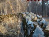 Rock Wall Study, Middlesex Fells Reservation, Medford