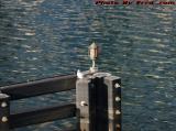 Channel Marker at High Tide, Fort Point Channel, Boston
