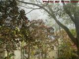 Hotel Courtyard With Sunshine and Clouds, Plantation